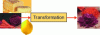 Figure 10 - Cheese grater conversion service