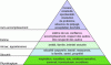 Figure 4 - Maslow pyramid