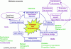 Figure 1 - Watch method (Sophie Lafourcade)