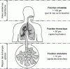 Figure 1 - Diagram of the respiratory system to consult on your online form.