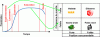 Figure 7 - BCG matrix