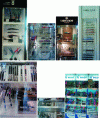 Figure 2 - Photos of "writing instruments" stands