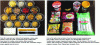 Figure 2 - Samples of Italian pasta and Asian noodles