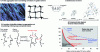 Figure 6 - Mechanism of pasta structure formation (Source: Denis Cassan, INRA Science & Impact)