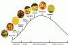 Figure 8 - Life Cycle of Pasta (Source: Fava S.p.A.)