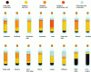 Figure 2 - Fatty acid composition of the main vegetable oils (g/100 g) (sources: Ciqual 2022 and ITERG)