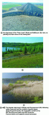 Figure 4 - Examples of unmodified mining spoil heaps