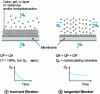 Figure 13 - Membrane filtration methods