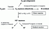 Figure 3 - Stability and Mechanisms of Action of Ozone in Water