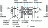 Figure 8 - Electrodeionization (EDI) process: principle