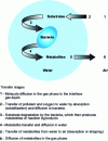Figure 1 - Schematic approach to the transfer of substrates and biodegradation metabolites in gaseous and aqueous phases