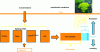 Figure 1 - Carrier phases of ETMs and the concept of bioavailability [22] [23]