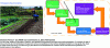 Figure 11 - Steps for the "Mustard" experiment discussed with the gardeners