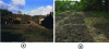 Figure 9 - (a) The “Vieille Usine” industrial site in Auzon before the buildings were demolished in 2000; (b) Preparation of the plots on the Auzon industrial site before cultivation began