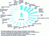 Figure 2 - Greenhouse effect balance of an average European's annual consumption