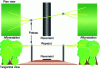 Figure 10 - Corridor by canopy using posts (source:
Cerema)