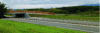 Figure 4 - All-wildlife
overpass (source: Cerema Centre Est – L. Thuillier)