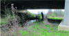 Figure 6 - Mixed hydraulic wildlife crossing (source:
Cerema Ouest – JF. Bretaud)