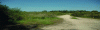 Figure 7 - Mixed forest
and pedestrian wildlife crossing (source: Cerema Ouest – JF. Bretaud)