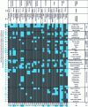 Figure 5 - Summary table of practical x biological parameter combinations studied in international literature