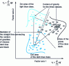 Figure 24 - Discriminant factorial designs