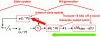 Figure 7 - General description of the equation describing the DUAL_ECC_DRBG (Green Credit)