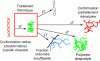Figure 5 - Conformational changes in the polymer as a function of temperature and treatment time. Increasing must temperature is accompanied by a destructuring of the double helix. During cooling, the polymer chains rearrange themselves to a greater or lesser extent, depending on the severity and duration of the treatment. Only the partially denatured conformation (in red) displays gel-forming properties.
