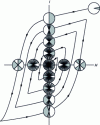 Figure 5 - Evolution of magnetization distribution in a material subjected to AC demagnetization