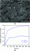 Figure 3 - a) SEM image of TiFe particles on a carbon support from kraft black liquor, b) mass percentages of hydrogen sorbed to the surface and/or in TiFe particles at different temperatures (figure inspired from [15]).