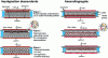 Figure 1 - General operating principle of electrostatic impregnation, cross-sectional view (source: Fibroline)
