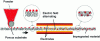 Figure 4 - Schematic diagram of the wide-web impregnation process, or D-Preg (source: Fibroline)