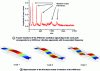 Figure 4 - A) Fourier transform of the AFM lever oscillation signal (figure 2B): each peak corresponds to a specific mode of vibration of the AFM lever with its associated frequency B) Representation of the first three modes of vibration of the AFM lever. Typical frequencies for the first three modes are 65 kHz, 155 kHz and 340 kHz respectively, for a lever with a stiffness of 0.03 N/m.