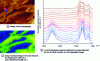 Figure 6 - AFM-IR study of a nylon/natural rubber blend: (A) topography image, (B) local IR absorption spectra obtained on areas indicated by blue markers on the topography image, (C) image corresponding to the ratio between mapping at 3,300 cm-1 and that obtained at 2,956 cm-1. Nylon-rich regions are shown in blue and rubber-rich regions in green-yellow. Adapted with permission Chem. Rev. 2017, 117, 7, 5146-5173. Copyright: 2017 American Chemical Society