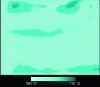 Figure 4 - Homogeneous temperature distribution of electrically heated fabric (WWP-3) (image obtained by infrared camera)