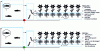 Figure 2 - Simplified diagram of a productive Ebb and Flow aquaponic system