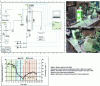 Figure 8 - Test bench for studying microalgae cultivation on urine and results obtained in terms of biomass productivity