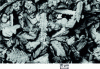 Figure 6 - Photo SEM zinc powder REZEDA