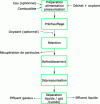 Figure 4 - Generic Schematic of a Hydrothermal Oxidation Process