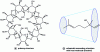 Figure 16 - Primary and secondary structures of a β-cyclodextrin