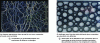 Figure 4 - Experimental demonstration of the contact network in a granular medium