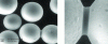 Figure 7 - Experimental demonstration of capillary condensation at 90% relative humidity (photos SAPC, UTC)
