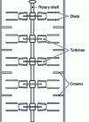 Figure 14 - Scheibel column