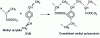 Figure 2 - Example of a polyacrylic backbone