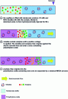 Figure 4 - Schematic representation of the MECK separation used to characterize depigmenting agents and preservatives [132].