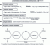 Figure 1 - Reaction mechanisms in the aerobic metabolization of carbonaceous pollution