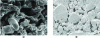Figure 13 - SEM images showing the microstructure of two porous titanium distributors (a) high porosity, (b) low porosity