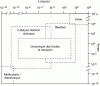 Figure 4 - Organizing levels of complexity in the time and space scales covered by the integrated multi-scale approach