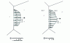 Figure 29 - Representation of eutectoid transformation [37] and cellular or discontinuous precipitation