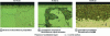 Figure 30 - Discontinuous precipitation microstructures in nitrided iron-chromium alloys at 520°C for 24 h (KN = 9) [3].