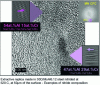 Figure 50 - METHR observation of MN CFC platelets [3].